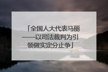全国人大代表马丽——以司法裁判为引领做实定分止争