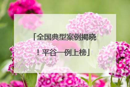全国典型案例揭晓！平谷一例上榜