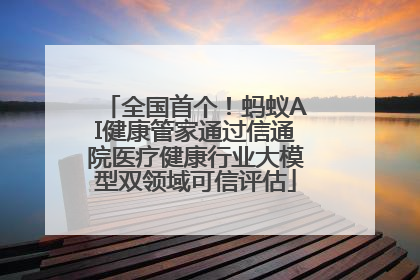 全国首个！蚂蚁AI健康管家通过信通院医疗健康行业大模型双领域可信评估