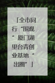 全市同行“围观”厦门湖里台青创业基地“出圈”