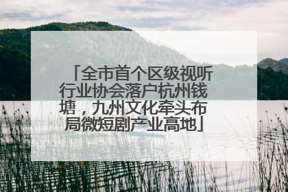 全市首个区级视听行业协会落户杭州钱塘，九州文化牵头布局微短剧产业高地