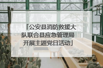 公安县消防救援大队联合县应急管理局开展主题党日活动