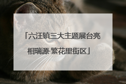 六汪镇三大主题展台亮相瑞源·繁花里街区