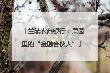 兰陵农商银行：果园里的“金融合伙人”