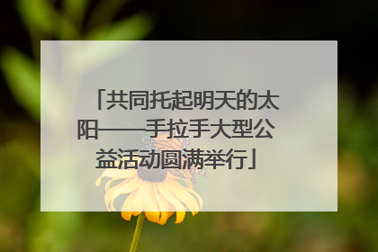共同托起明天的太阳——手拉手大型公益活动圆满举行