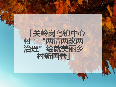 关岭岗乌镇中心村：“两清两改两治理”绘就美丽乡村新画卷