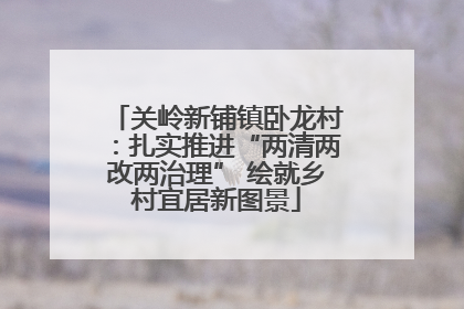 关岭新铺镇卧龙村：扎实推进“两清两改两治理” 绘就乡村宜居新图景
