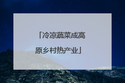 冷凉蔬菜成高原乡村热产业