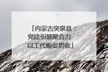 内蒙古突泉县：党建引领聚合力 以工代赈促增收