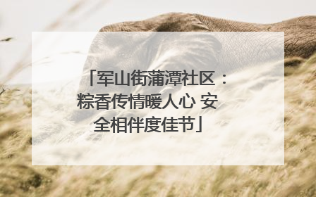 军山街蒲潭社区：粽香传情暖人心 安全相伴度佳节