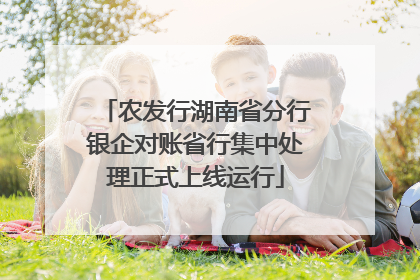 农发行湖南省分行银企对账省行集中处理正式上线运行