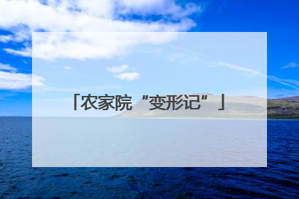 农家院“变形记”