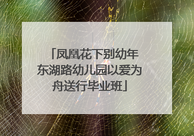 凤凰花下别幼年 东湖路幼儿园以爱为舟送行毕业班