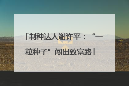 制种达人谢许平：“一粒种子”闯出致富路