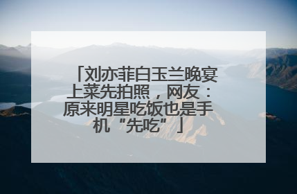 刘亦菲白玉兰晚宴上菜先拍照，网友：原来明星吃饭也是手机“先吃”