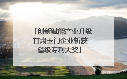 创新赋能产业升级 甘肃玉门企业斩获省级专利大奖
