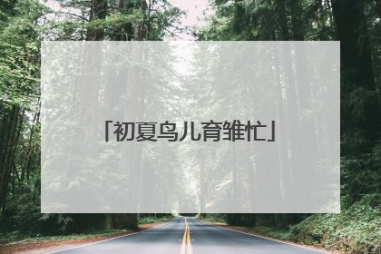 初夏鸟儿育雏忙