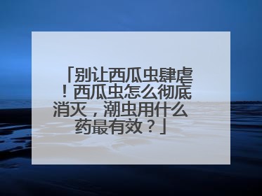 别让西瓜虫肆虐！西瓜虫怎么彻底消灭，潮虫用什么药最有效？
