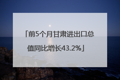 前5个月甘肃进出口总值同比增长43.2%