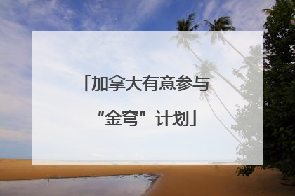 加拿大有意参与“金穹”计划