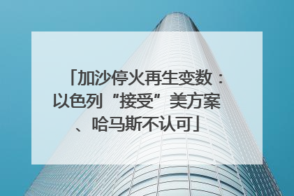 加沙停火再生变数：以色列“接受”美方案、哈马斯不认可