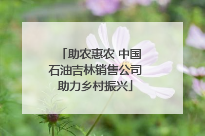 助农惠农 中国石油吉林销售公司助力乡村振兴