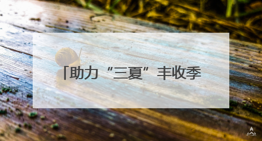 助力“三夏”丰收季，山东高速平度西收费站推出贴心服务