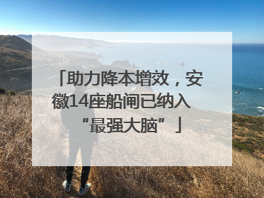 助力降本增效，安徽14座船闸已纳入“最强大脑”
