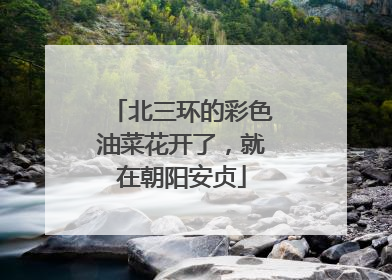 北三环的彩色油菜花开了，就在朝阳安贞
