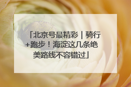 北京号最精彩｜骑行+跑步！海淀这几条绝美路线不容错过