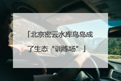 北京密云水库鸟岛成了生态“训练场”