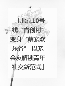 北京10号线“青创村”变身“萌宠欢乐谷” 以宠会友解锁青年社交新范式