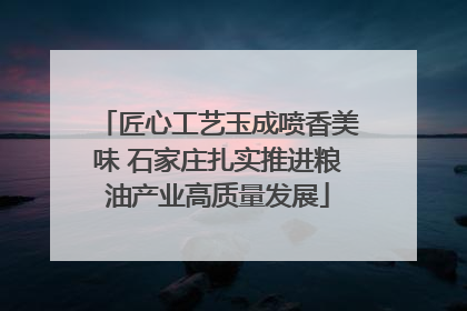 匠心工艺玉成喷香美味 石家庄扎实推进粮油产业高质量发展