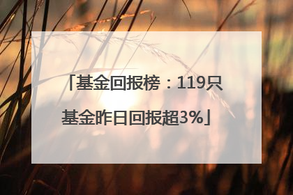基金回报榜：119只基金昨日回报超3%