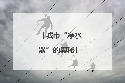 城市“净水器”的奥秘