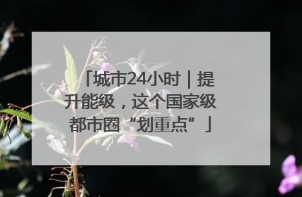 城市24小时｜提升能级，这个国家级都市圈“划重点”