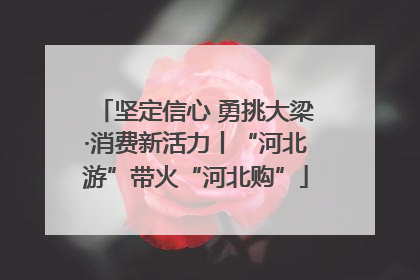 坚定信心 勇挑大梁·消费新活力丨“河北游”带火“河北购”