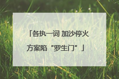各执一词 加沙停火方案陷“罗生门”