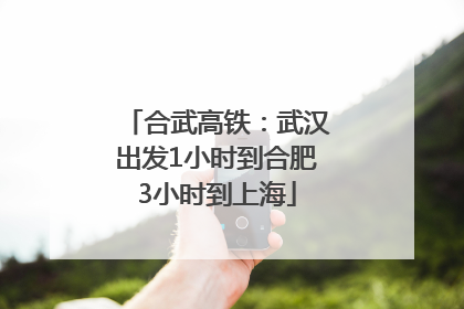 合武高铁:武汉出发1小时到合肥3小时到上海