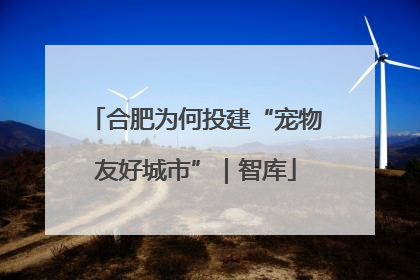 合肥为何投建“宠物友好城市”｜智库