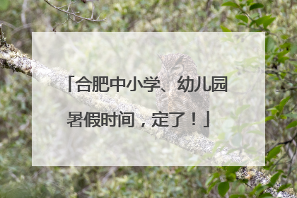 合肥中小学、幼儿园暑假时间，定了！