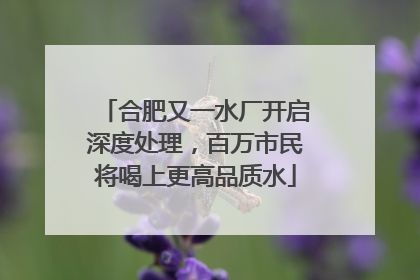 合肥又一水厂开启深度处理，百万市民将喝上更高品质水