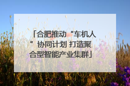 合肥推动“车机人”协同计划 打造聚合型智能产业集群