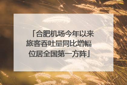 合肥机场今年以来旅客吞吐量同比增幅位居全国第一方阵