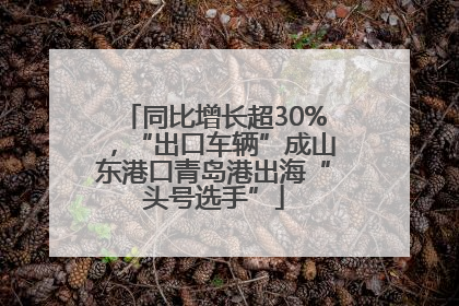 同比增长超30%，“出口车辆”成山东港口青岛港出海“头号选手”