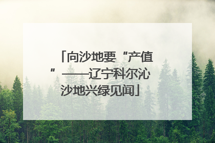 向沙地要“产值”——辽宁科尔沁沙地兴绿见闻