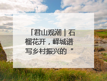 君山观潮｜石榴花开，峄城谱写乡村振兴的“新”篇章