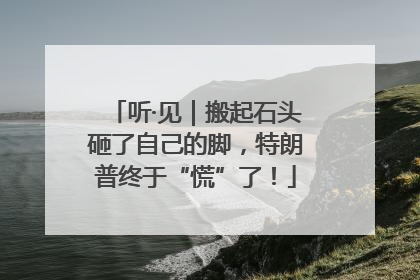 听·见｜搬起石头砸了自己的脚，特朗普终于“慌”了！