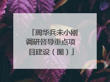 周华兵未小刚调研督导重点项目建设（图）