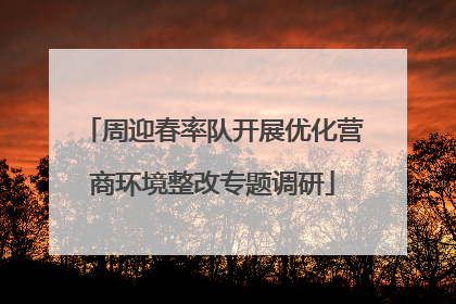 周迎春率队开展优化营商环境整改专题调研